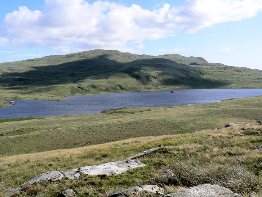 Yoadcastle and White Pike Yoadcastle and White Pike